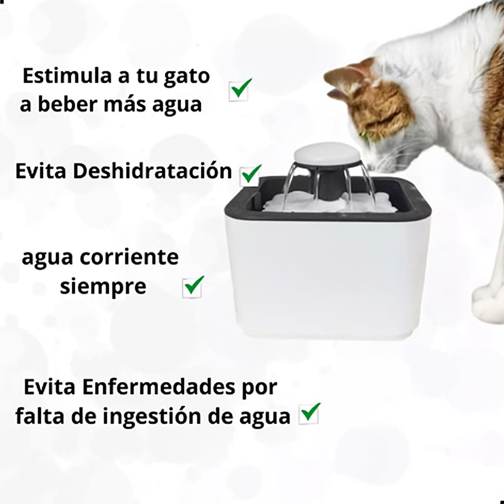 🔹 ¡El Bebedero Inteligente que Está Salvando la Salud de Perros y Gatos Todos los Días!